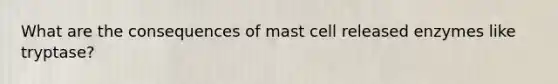 What are the consequences of mast cell released enzymes like tryptase?