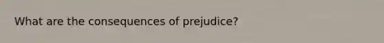 What are the consequences of prejudice?