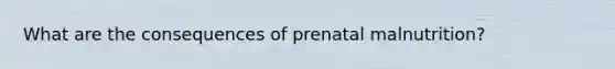 What are the consequences of prenatal malnutrition?