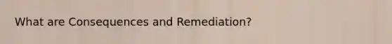 What are Consequences and Remediation?