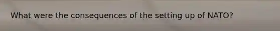 What were the consequences of the setting up of NATO?