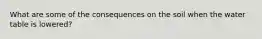 What are some of the consequences on the soil when the water table is lowered?
