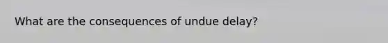 What are the consequences of undue delay?