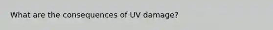 What are the consequences of UV damage?