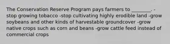 The Conservation Reserve Program pays farmers to ________. -stop growing tobacco -stop cultivating highly erodible land -grow soybeans and other kinds of harvestable groundcover -grow native crops such as corn and beans -grow cattle feed instead of commercial crops