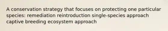 A conservation strategy that focuses on protecting one particular species: remediation reintroduction single-species approach captive breeding ecosystem approach