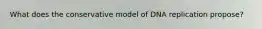 What does the conservative model of DNA replication propose?