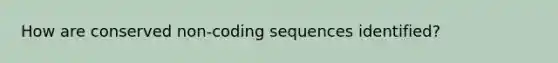 How are conserved non-coding sequences identified?