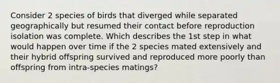 Consider 2 species of birds that diverged while separated geographically but resumed their contact before reproduction isolation was complete. Which describes the 1st step in what would happen over time if the 2 species mated extensively and their hybrid offspring survived and reproduced more poorly than offspring from intra-species matings?