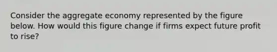 Consider the aggregate economy represented by the figure below. How would this figure change if firms expect future profit to rise?