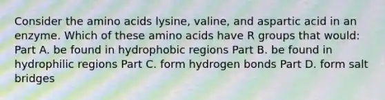 Consider the <a href='https://www.questionai.com/knowledge/k9gb720LCl-amino-acids' class='anchor-knowledge'>amino acids</a> lysine, valine, and aspartic acid in an enzyme. Which of these amino acids have R groups that would: Part A. be found in hydrophobic regions Part B. be found in hydrophilic regions Part C. form hydrogen bonds Part D. form salt bridges