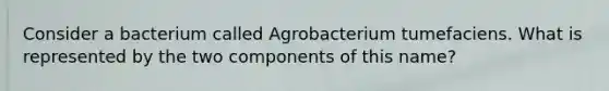 Consider a bacterium called Agrobacterium tumefaciens. What is represented by the two components of this name?