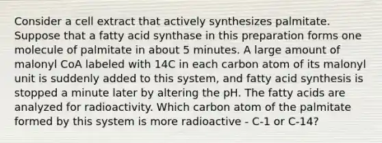 Consider a cell extract that actively synthesizes palmitate. Suppose that a fatty acid synthase in this preparation forms one molecule of palmitate in about 5 minutes. A large amount of malonyl CoA labeled with 14C in each carbon atom of its malonyl unit is suddenly added to this system, and fatty acid synthesis is stopped a minute later by altering the pH. The fatty acids are analyzed for radioactivity. Which carbon atom of the palmitate formed by this system is more radioactive - C-1 or C-14?