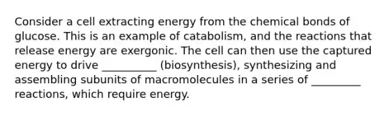 Consider a cell extracting energy from the chemical bonds of glucose. This is an example of catabolism, and the reactions that release energy are exergonic. The cell can then use the captured energy to drive __________ (biosynthesis), synthesizing and assembling subunits of macromolecules in a series of _________ reactions, which require energy.