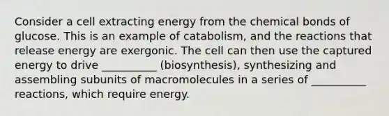 Consider a cell extracting energy from the chemical bonds of glucose. This is an example of catabolism, and the reactions that release energy are exergonic. The cell can then use the captured energy to drive __________ (biosynthesis), synthesizing and assembling subunits of macromolecules in a series of __________ reactions, which require energy.