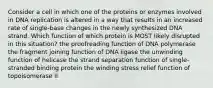 Consider a cell in which one of the proteins or enzymes involved in DNA replication is altered in a way that results in an increased rate of single-base changes in the newly synthesized DNA strand. Which function of which protein is MOST likely disrupted in this situation? the proofreading function of DNA polymerase the fragment joining function of DNA ligase the unwinding function of helicase the strand separation function of single-stranded binding protein the winding stress relief function of topoisomerase II