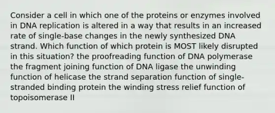 Consider a cell in which one of the proteins or enzymes involved in DNA replication is altered in a way that results in an increased rate of single-base changes in the newly synthesized DNA strand. Which function of which protein is MOST likely disrupted in this situation? the proofreading function of DNA polymerase the fragment joining function of DNA ligase the unwinding function of helicase the strand separation function of single-stranded binding protein the winding stress relief function of topoisomerase II