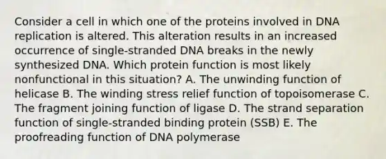 Consider a cell in which one of the proteins involved in DNA replication is altered. This alteration results in an increased occurrence of single-stranded DNA breaks in the newly synthesized DNA. Which protein function is most likely nonfunctional in this situation? A. The unwinding function of helicase B. The winding stress relief function of topoisomerase C. The fragment joining function of ligase D. The strand separation function of single-stranded binding protein (SSB) E. The proofreading function of DNA polymerase