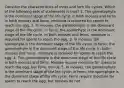 Consider the characteristics of moss and fern life cycles. Which of the following sets of statements is true? 1. The gametophyte is the dominant stage of the life cycle in both mosses and ferns. In both mosses and ferns, moisture is required for sperm to reach the egg. 2. In mosses, the gametophyte is the dominant stage of the life cycle; in ferns, the sporophyte is the dominant stage of the life cycle. In both mosses and ferns, moisture is required for sperm to reach the egg. 3. In mosses, the sporophyte is the dominant stage of the life cycle; in ferns, the gametophyte is the dominant stage of the life cycle. In both mosses and ferns, moisture is required for sperm to reach the egg. 4. The gametophyte is the dominant stage of the life cycle in both mosses and ferns. Mosses require moisture for sperm to reach the egg, but ferns do not. 5. In mosses, the gametophyte is the dominant stage of the life cycle; in ferns, the sporophyte is the dominant stage of the life cycle. Ferns require moisture for sperm to reach the egg, but mosses do not.