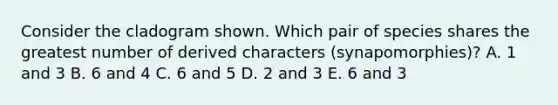 Consider the cladogram shown. Which pair of species shares the greatest number of derived characters (synapomorphies)? A. 1 and 3 B. 6 and 4 C. 6 and 5 D. 2 and 3 E. 6 and 3