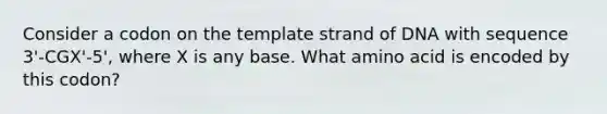 Consider a codon on the template strand of DNA with sequence 3'-CGX'-5', where X is any base. What amino acid is encoded by this codon?