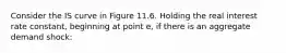 Consider the IS curve in Figure 11.6. Holding the real interest rate constant, beginning at point e, if there is an aggregate demand shock: