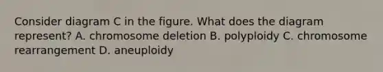 Consider diagram C in the figure. What does the diagram represent? A. chromosome deletion B. polyploidy C. chromosome rearrangement D. aneuploidy