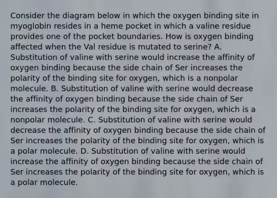 Consider the diagram below in which the oxygen binding site in myoglobin resides in a heme pocket in which a valine residue provides one of the pocket boundaries. How is oxygen binding affected when the Val residue is mutated to serine? A. Substitution of valine with serine would increase the affinity of oxygen binding because the side chain of Ser increases the polarity of the binding site for oxygen, which is a nonpolar molecule. B. Substitution of valine with serine would decrease the affinity of oxygen binding because the side chain of Ser increases the polarity of the binding site for oxygen, which is a nonpolar molecule. C. Substitution of valine with serine would decrease the affinity of oxygen binding because the side chain of Ser increases the polarity of the binding site for oxygen, which is a polar molecule. D. Substitution of valine with serine would increase the affinity of oxygen binding because the side chain of Ser increases the polarity of the binding site for oxygen, which is a polar molecule.