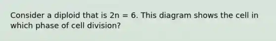 Consider a diploid that is 2n = 6. This diagram shows the cell in which phase of cell division?