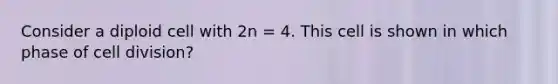 Consider a diploid cell with 2n = 4. This cell is shown in which phase of cell division?