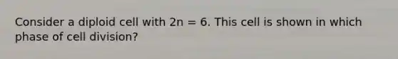 Consider a diploid cell with 2n = 6. This cell is shown in which phase of cell division?