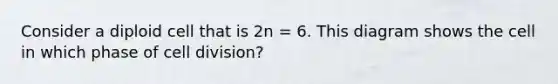 Consider a diploid cell that is 2n = 6. This diagram shows the cell in which phase of <a href='https://www.questionai.com/knowledge/kjHVAH8Me4-cell-division' class='anchor-knowledge'>cell division</a>?