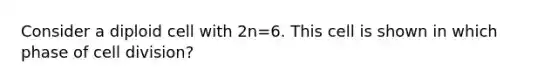 Consider a diploid cell with 2n=6. This cell is shown in which phase of cell division?