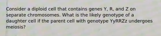 Consider a diploid cell that contains genes Y, R, and Z on separate chromosomes. What is the likely genotype of a daughter cell if the parent cell with genotype YyRRZz undergoes meiosis?