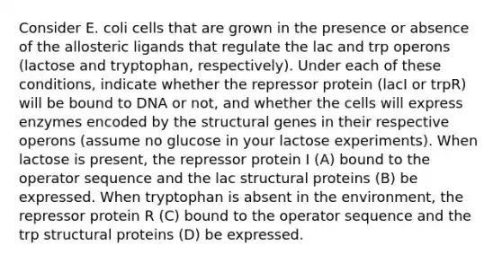 Consider E. coli cells that are grown in the presence or absence of the allosteric ligands that regulate the lac and trp operons (lactose and tryptophan, respectively). Under each of these conditions, indicate whether the repressor protein (lacI or trpR) will be bound to DNA or not, and whether the cells will express enzymes encoded by the structural genes in their respective operons (assume no glucose in your lactose experiments). When lactose is present, the repressor protein I (A) bound to the operator sequence and the lac structural proteins (B) be expressed. When tryptophan is absent in the environment, the repressor protein R (C) bound to the operator sequence and the trp structural proteins (D) be expressed.