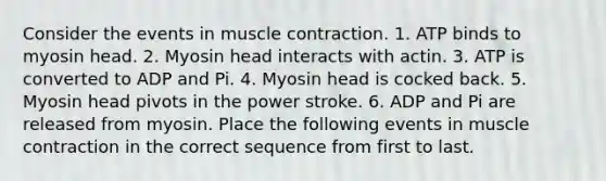 Consider the events in muscle contraction. 1. ATP binds to myosin head. 2. Myosin head interacts with actin. 3. ATP is converted to ADP and Pi. 4. Myosin head is cocked back. 5. Myosin head pivots in the power stroke. 6. ADP and Pi are released from myosin. Place the following events in muscle contraction in the correct sequence from first to last.