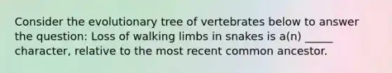 Consider the evolutionary tree of vertebrates below to answer the question: Loss of walking limbs in snakes is a(n) _____ character, relative to the most recent common ancestor.