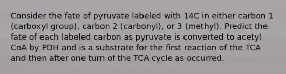 Consider the fate of pyruvate labeled with 14C in either carbon 1 (carboxyl group), carbon 2 (carbonyl), or 3 (methyl). Predict the fate of each labeled carbon as pyruvate is converted to acetyl CoA by PDH and is a substrate for the first reaction of the TCA and then after one turn of the TCA cycle as occurred.