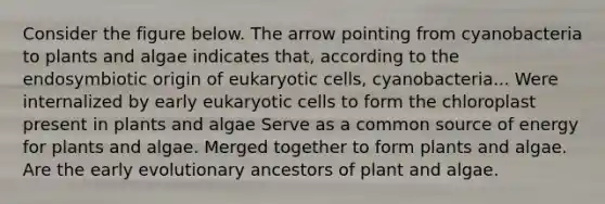 Consider the figure below. The arrow pointing from cyanobacteria to plants and algae indicates that, according to the endosymbiotic origin of eukaryotic cells, cyanobacteria... Were internalized by early eukaryotic cells to form the chloroplast present in plants and algae Serve as a common source of energy for plants and algae. Merged together to form plants and algae. Are the early evolutionary ancestors of plant and algae.