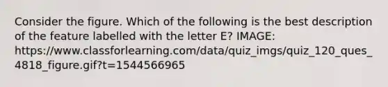 Consider the figure. Which of the following is the best description of the feature labelled with the letter E? IMAGE: https://www.classforlearning.com/data/quiz_imgs/quiz_120_ques_4818_figure.gif?t=1544566965