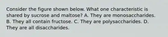 Consider the figure shown below. What one characteristic is shared by sucrose and maltose? A. They are monosaccharides. B. They all contain fructose. C. They are polysaccharides. D. They are all disaccharides.