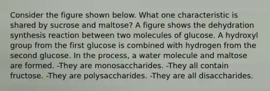 Consider the figure shown below. What one characteristic is shared by sucrose and maltose? A figure shows the dehydration synthesis reaction between two molecules of glucose. A hydroxyl group from the first glucose is combined with hydrogen from the second glucose. In the process, a water molecule and maltose are formed. -They are monosaccharides. -They all contain fructose. -They are polysaccharides. -They are all disaccharides.