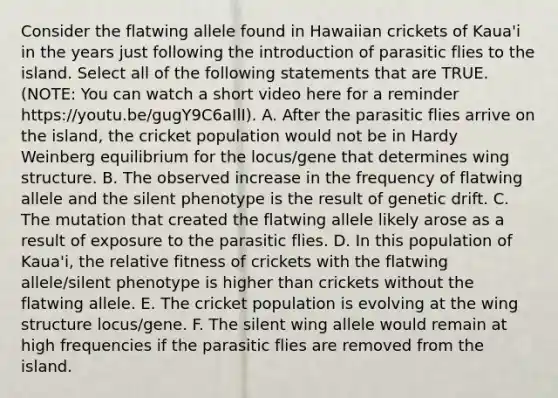 Consider the flatwing allele found in Hawaiian crickets of Kaua'i in the years just following the introduction of parasitic flies to the island. Select all of the following statements that are TRUE. (NOTE: You can watch a short video here for a reminder https://youtu.be/gugY9C6aIlI). A. After the parasitic flies arrive on the island, the cricket population would not be in Hardy Weinberg equilibrium for the locus/gene that determines wing structure. B. The observed increase in the frequency of flatwing allele and the silent phenotype is the result of genetic drift. C. The mutation that created the flatwing allele likely arose as a result of exposure to the parasitic flies. D. In this population of Kaua'i, the relative fitness of crickets with the flatwing allele/silent phenotype is higher than crickets without the flatwing allele. E. The cricket population is evolving at the wing structure locus/gene. F. The silent wing allele would remain at high frequencies if the parasitic flies are removed from the island.