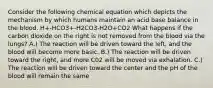 Consider the following chemical equation which depicts the mechanism by which humans maintain an acid base balance in the blood. H+-HCO3+-H2CO3-H2O+CO2 What happens if the carbon dioxide on the right is not removed from the blood via the lungs? A.) The reaction will be driven toward the left, and the blood will become more basic. B.) The reaction will be driven toward the right, and more C02 will be moved via exhalation. C.) The reaction will be driven toward the center and the pH of the blood will remain the same