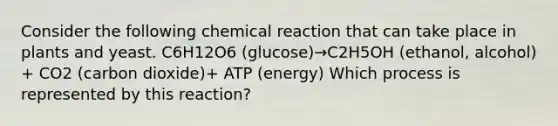 Consider the following chemical reaction that can take place in plants and yeast. C6H12O6 (glucose)→C2H5OH (ethanol, alcohol) + CO2 (carbon dioxide)+ ATP (energy) Which process is represented by this reaction?