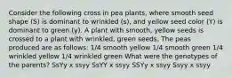 Consider the following cross in pea plants, where smooth seed shape (S) is dominant to wrinkled (s), and yellow seed color (Y) is dominant to green (y). A plant with smooth, yellow seeds is crossed to a plant with wrinkled, green seeds. The peas produced are as follows: 1/4 smooth yellow 1/4 smooth green 1/4 wrinkled yellow 1/4 wrinkled green What were the genotypes of the parents? SsYy x ssyy SsYY x ssyy SSYy x ssyy Ssyy x ssyy