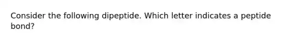 Consider the following dipeptide. Which letter indicates a peptide bond?