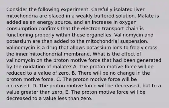 Consider the following experiment. Carefully isolated liver mitochondria are placed in a weakly buffered solution. Malate is added as an energy source, and an increase in oxygen consumption confirms that the electron transport chain is functioning properly within these organelles. Valinomycin and potassium are then added to the mitochondrial suspension. Valinomycin is a drug that allows potassium ions to freely cross the inner mitochondrial membrane. What is the effect of valinomycin on the proton motive force that had been generated by the oxidation of malate? A. The proton motive force will be reduced to a value of zero. B. There will be no change in the proton motive force. C. The proton motive force will be increased. D. The proton motive force will be decreased, but to a value greater than zero. E. The proton motive force will be decreased to a value less than zero.