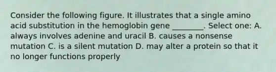 Consider the following figure. It illustrates that a single amino acid substitution in the hemoglobin gene ________. Select one: A. always involves adenine and uracil B. causes a nonsense mutation C. is a silent mutation D. may alter a protein so that it no longer functions properly