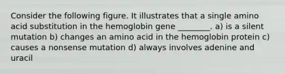 Consider the following figure. It illustrates that a single amino acid substitution in the hemoglobin gene ________. a) is a silent mutation b) changes an amino acid in the hemoglobin protein c) causes a nonsense mutation d) always involves adenine and uracil